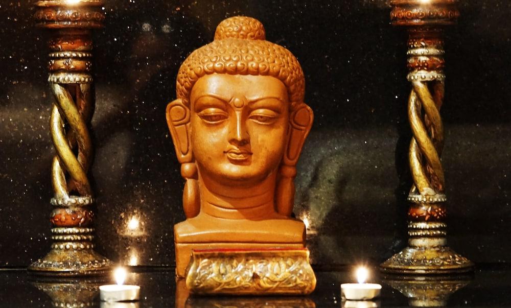 Taj Chandigarh Ngoại thất bức ảnh The Buddha