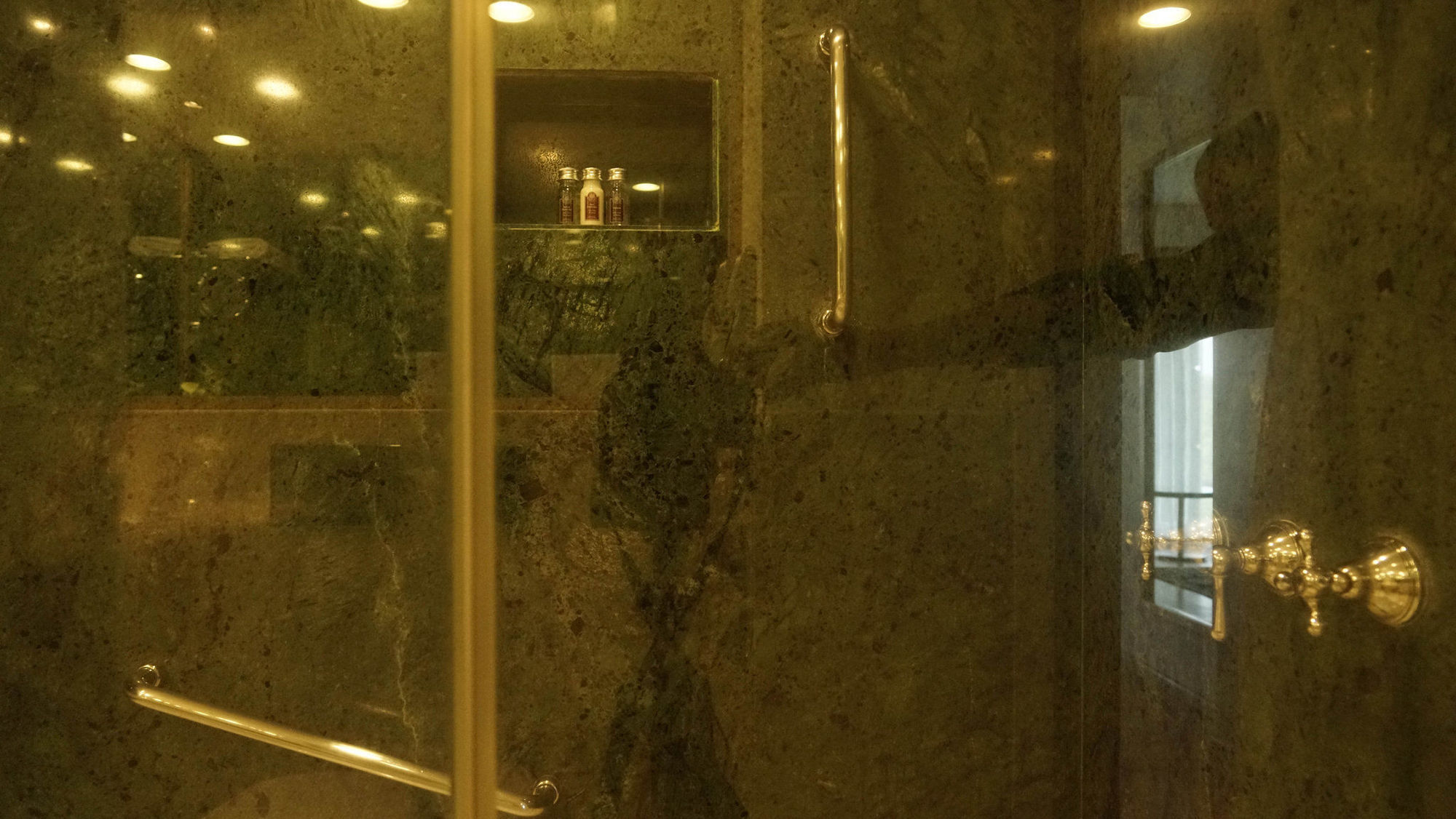 Taj Chandigarh Ngoại thất bức ảnh A shower with a sliding door